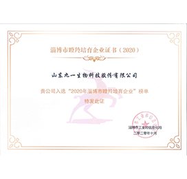 Qualification and patent document issued to Shandong Jiuyi Biotechnology (Chinese original)